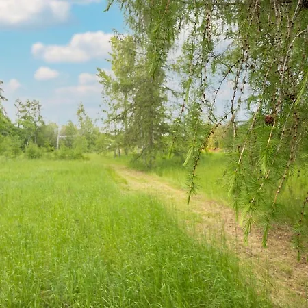 Apartment Bett Im Bahnhof Gueterschuppen Keine Ja Oder Aehnlich Bad Harzburg
