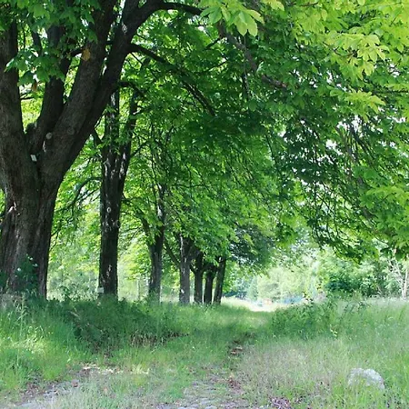 Apartment Bett Im Bahnhof Gueterschuppen Keine Ja Oder Aehnlich Bad Harzburg