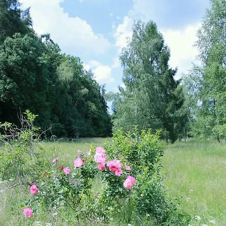 Apartment Bett Im Bahnhof Gueterschuppen Keine Ja Oder Aehnlich *