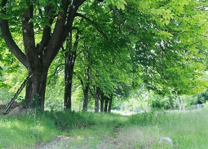 Апартаменты Bett Im Bahnhof Gueterschuppen Keine Ja Oder Aehnlich Бад-Гарцбург